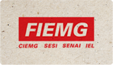 fiemg